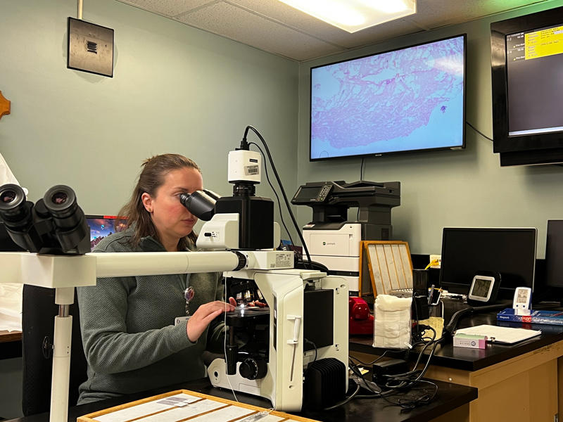 A person looks into a microscope in a lab, with a tissue sample image displayed on a large monitor in the background.